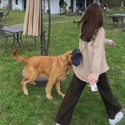 神探默多克第三季